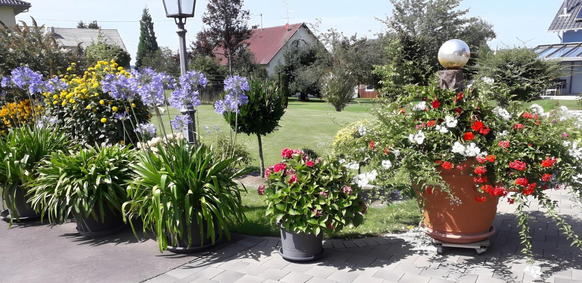 Feriendomizil Berta Benzingen Daire Winterlingen Dış mekan fotoğraf